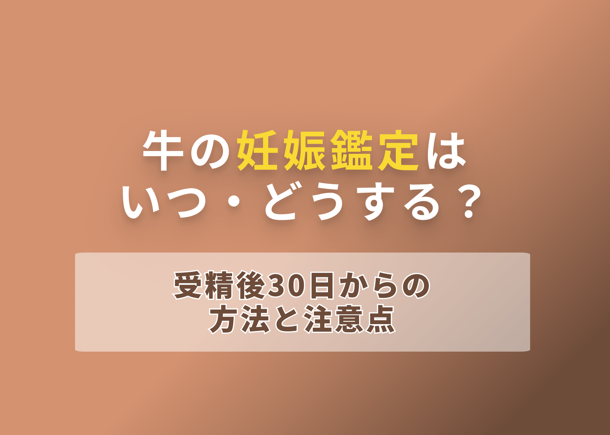 牛の妊娠鑑定はいつ・どうする?受精後30日からの方法と注意点